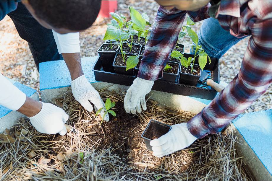 RBC: A Committed Partner in Reigniting Indigenous Agriculture